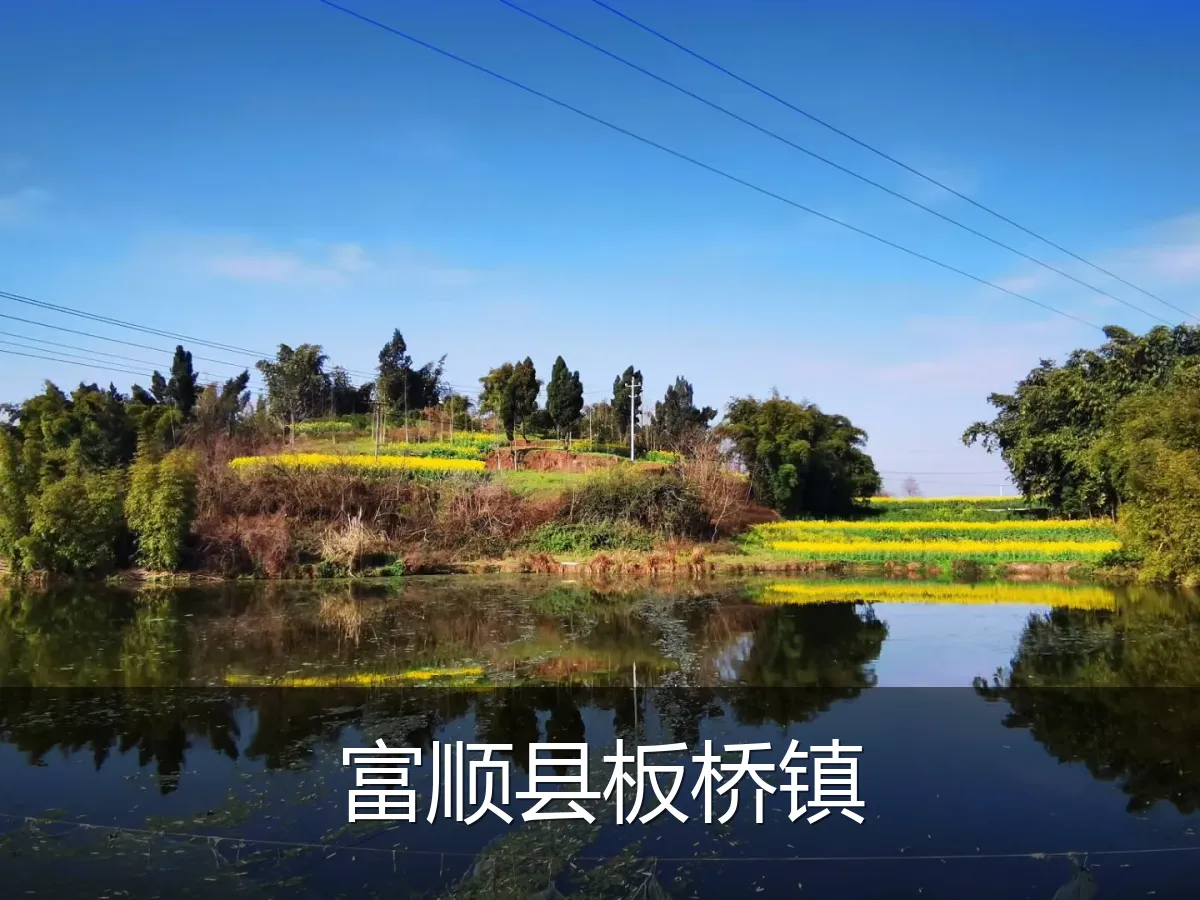 富顺县板桥镇