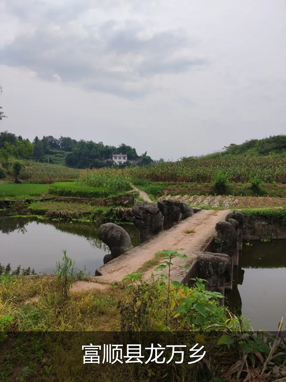 富顺县龙万乡